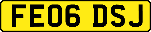 FE06DSJ
