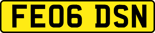 FE06DSN