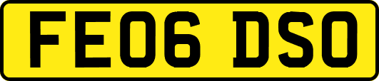 FE06DSO