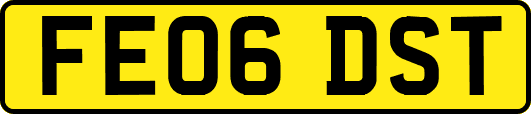 FE06DST