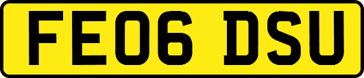 FE06DSU