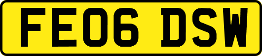 FE06DSW