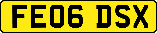 FE06DSX