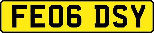 FE06DSY
