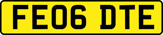 FE06DTE