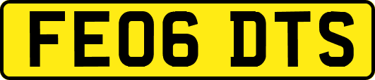 FE06DTS