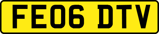 FE06DTV