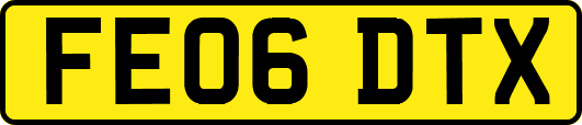 FE06DTX
