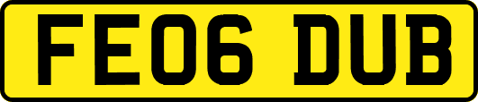 FE06DUB