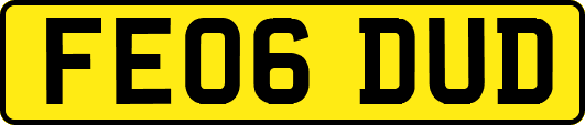 FE06DUD