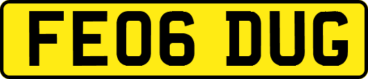 FE06DUG