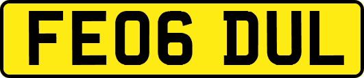 FE06DUL