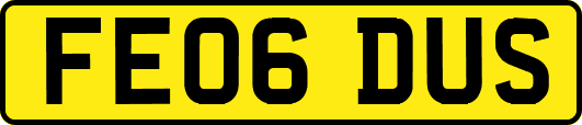FE06DUS