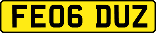 FE06DUZ