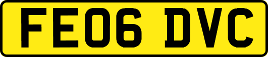 FE06DVC