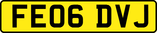 FE06DVJ