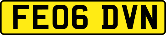 FE06DVN