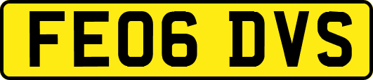 FE06DVS