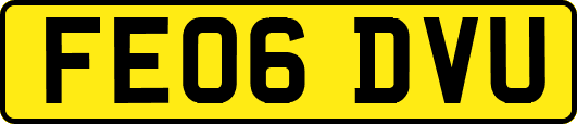 FE06DVU