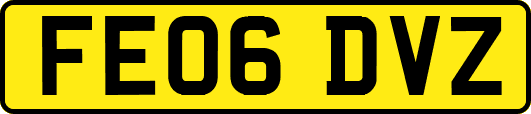FE06DVZ