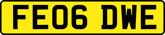 FE06DWE