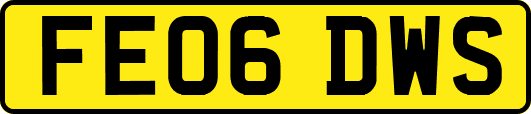 FE06DWS