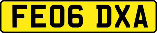 FE06DXA