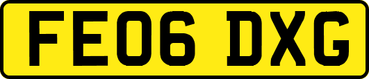 FE06DXG
