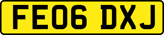 FE06DXJ