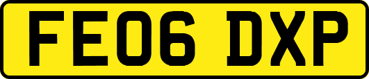 FE06DXP