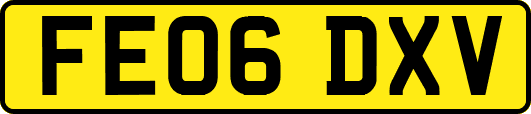 FE06DXV
