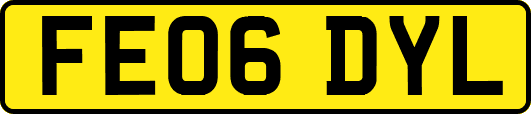 FE06DYL