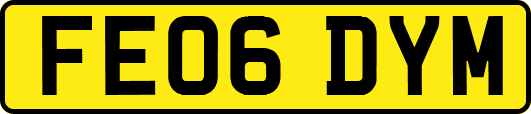 FE06DYM
