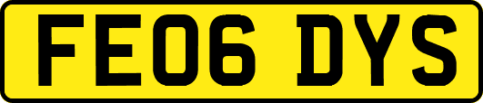 FE06DYS