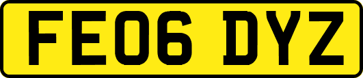 FE06DYZ