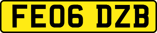 FE06DZB