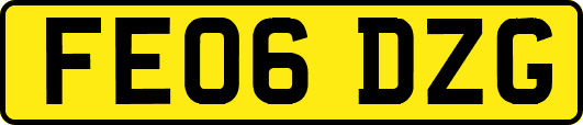 FE06DZG
