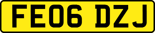 FE06DZJ