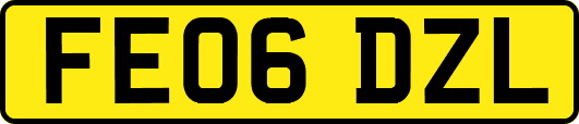 FE06DZL