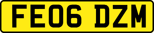 FE06DZM