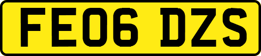 FE06DZS