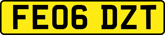 FE06DZT