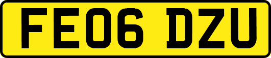 FE06DZU