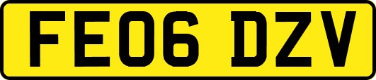 FE06DZV