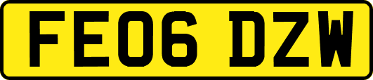 FE06DZW