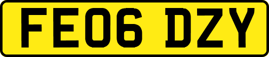 FE06DZY