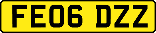 FE06DZZ