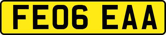FE06EAA