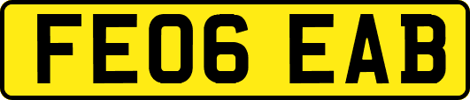 FE06EAB