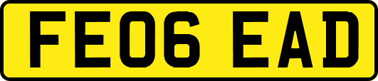 FE06EAD